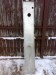 tatra-613-gth-16012010301.jpg