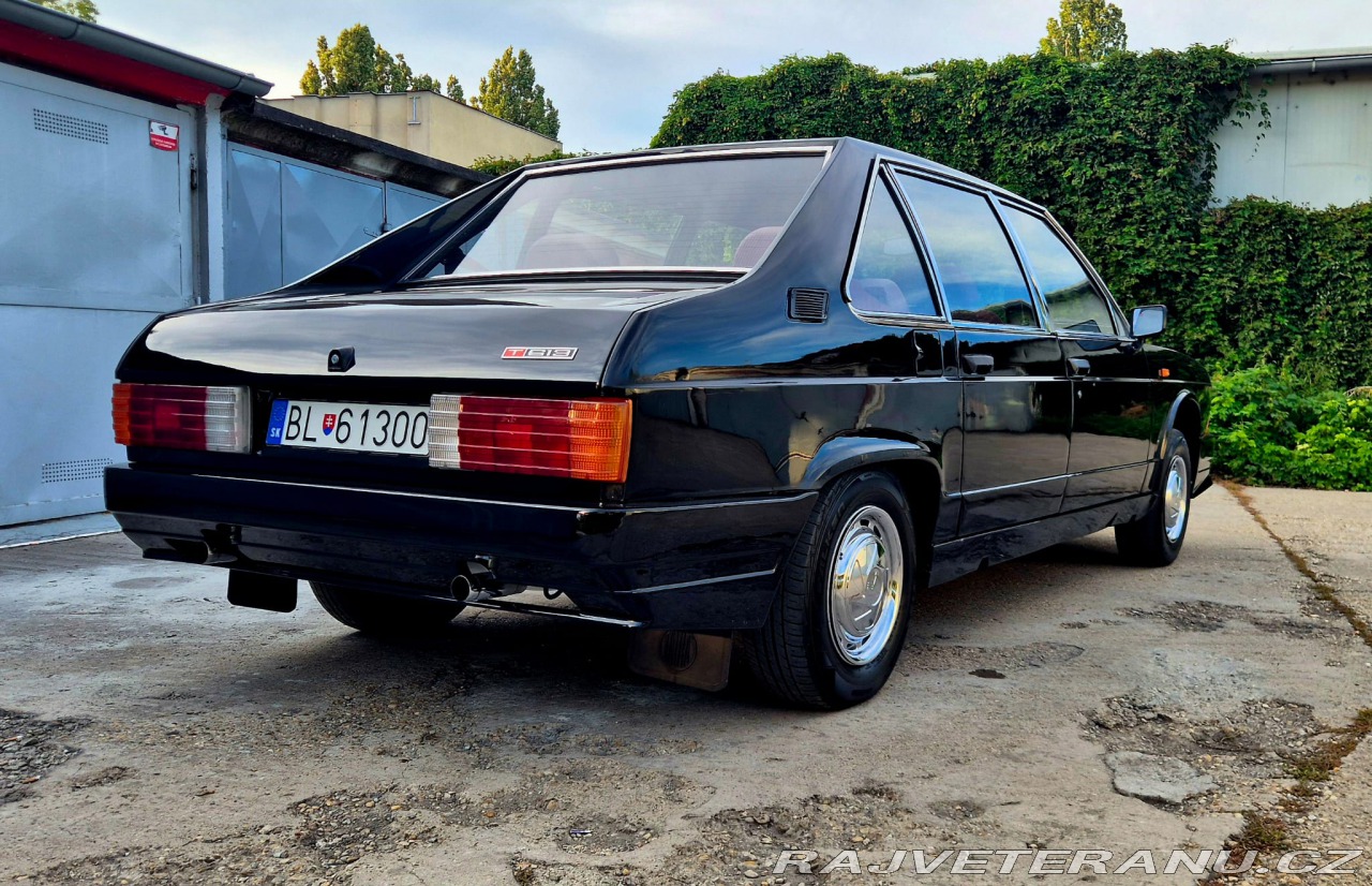 T613_3_008915_04